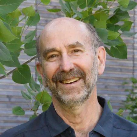 Steve Strauss Headshot
